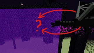 What if the ender dragon goes to nether?