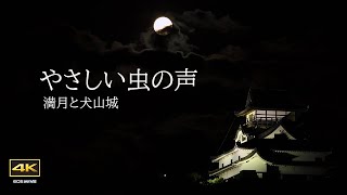 4K映像 + 自然環境音【復活版】やさしい虫の声と満月　そして犬山城