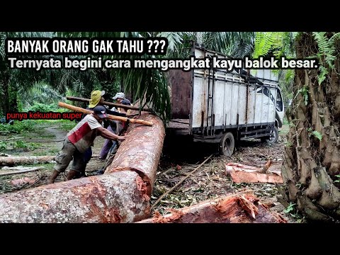 Video: Cara Mengangkat Log