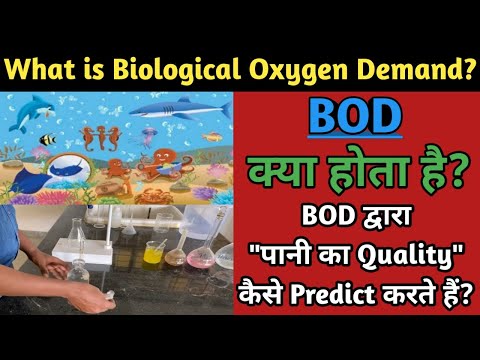 Biological Oxygen Demand | BOD | Calculation of BOD | Significance of BOD in Hindi | Water testing |