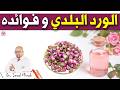 الورد البلدي وفوائده وطرق استعماله في وصفات الجمال | الدكتور عماد ميزاب imad Mizab