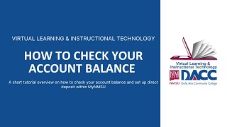 How To Check Your Account Balance