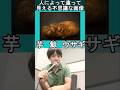 人によって違って見える不思議な画像