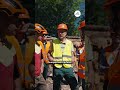 Le bois avance en Auvergne-Rhône-Alpes