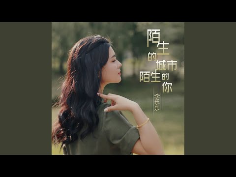 陌生的城市陌生的你 (DJ名龙版)