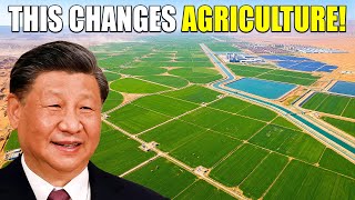 How China Turned Its LARGEST Desert Into a Farmland