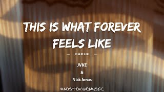 Jvke U0026 Nick Jonas  this Is What Forever Feels Like    S