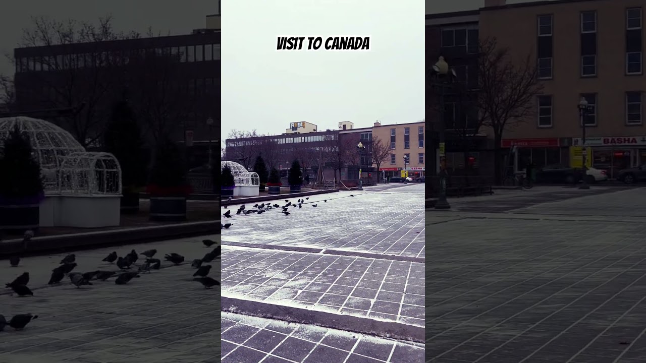 Snow starting time in parc extensions 