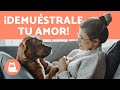 ¿Cómo DEMOSTRAR a tu PERRO que le QUIERES? 🧍‍♀️❤️🐕