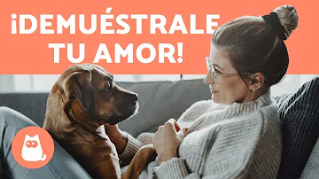 ¿Cómo demostrar a un cachorro que le quieres?