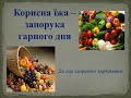 Корисна їжа-запорука гарного дня