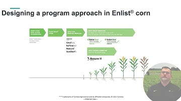Putting Together a Program Approach