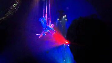 Cirque De Soleil: Varekai in Seoul - hanging from ropes