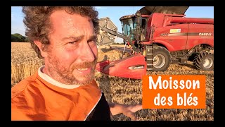 moisson des ble?s 2023 : premier jour, premiers résultats !