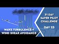 Windshear and wake turbulence avoidance