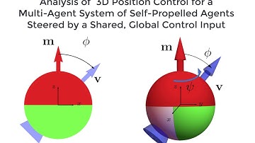 3D Control of Self-Propelled Agents Steered by Shared Controller