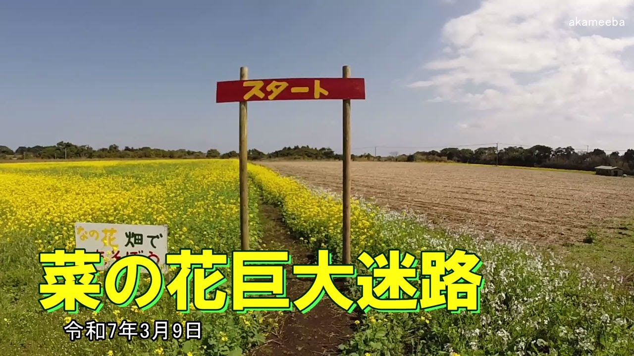 中種子町難解原尾の地域情報 - ふるさと種子島