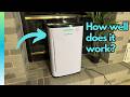 Heapets Large Pet Hair Purifier Actually Works
