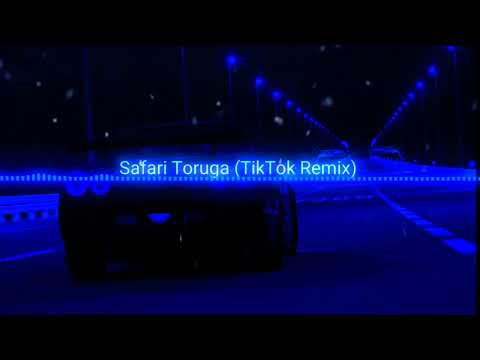 Safari-Tortuga(TikTok_cover_remix)просто пушка🔥