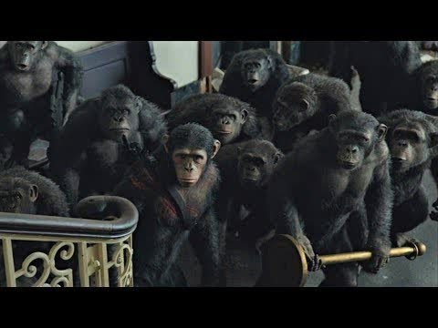 Koba Kills Ash Scene Dawn Of The Planet Of The Apes 2014 LOWI YouTube koba-kills-ash-scene-dawn-of-the-planet-of-the-apes-2014-lowi-youtube