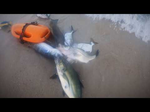 Miniatura do vídeo: Lajes de Saquarema - Pesca Sub extrema com muita vida!