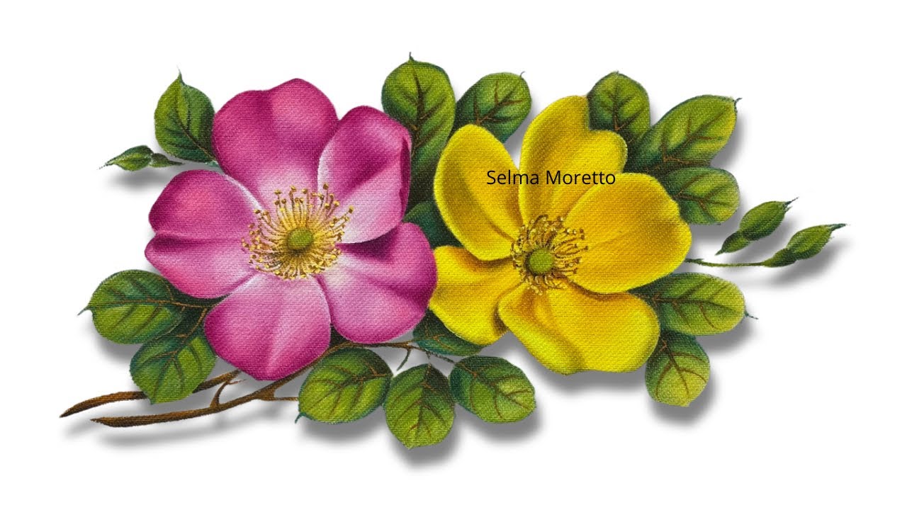 PINTANDO ROSAS CANINAS EM TECIDO