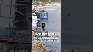 MAR NEGRO EN RUSIA... NUNCA MEJOR DICHO