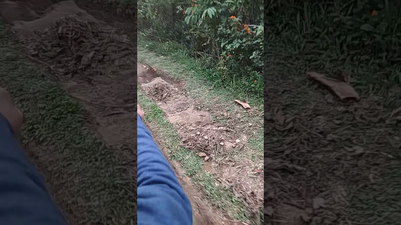 Palkulammedu off road(11)