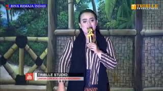 034. Lagu lagu BINA REMAJA INDAH live Unjungan desa cibereng blok 3