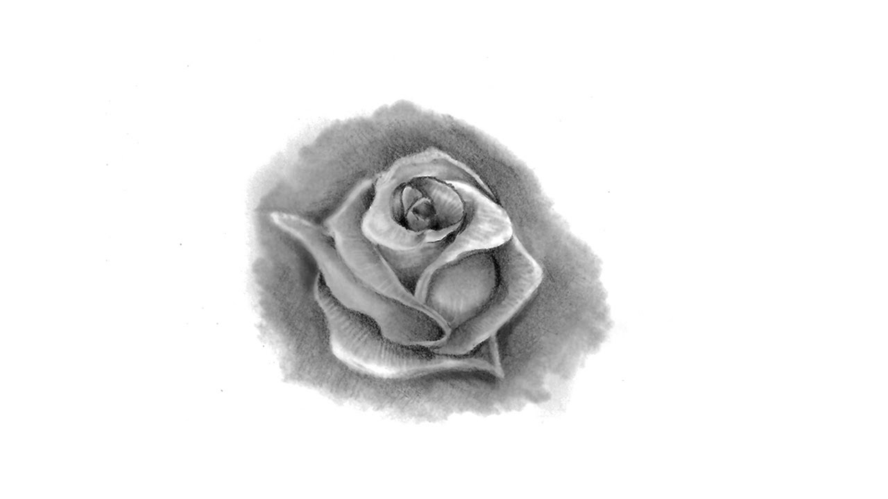 How To Draw Rose Come Disegnare Rosa Youtube