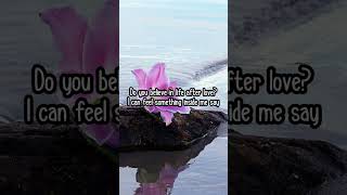 Cher - Believe (Lyrics) (Short)