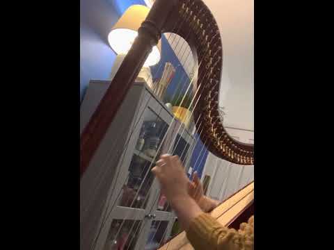 Titanium (David Guetta & Sia) - lever harp