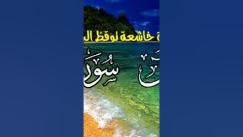 سورة يس وسورة الواقعه تلاوة خاشعه