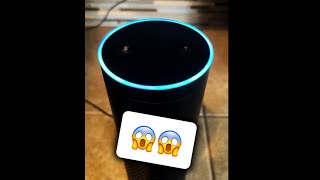 Alexa Is Refusing To Answer This shorts