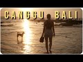 Die schattenseiten des hypes  canggu bali indonesien reise backpacking