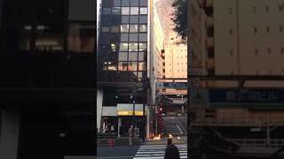 Deadly heatwave setting buildings on fire in Tokyo, Japan