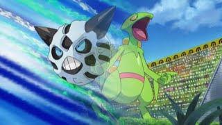 Pokemonglalie Vs Sceptile