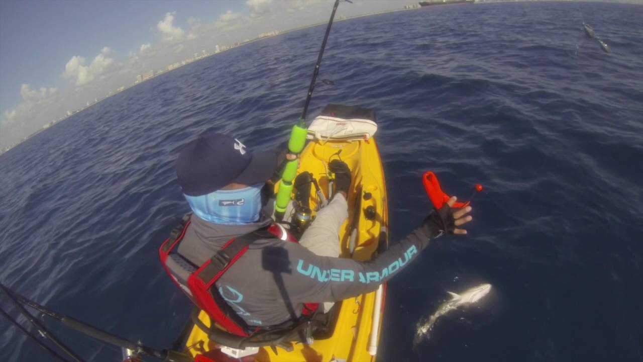 Kayak Fishing Dania Beach Sail Fish YouTube