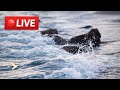 🔴 LIVE ▶ 🌊 OCEAN WAVES ON ROCKS ▶ REAL SEA SOUNDS FOR DEEP RELAXATION 🌊