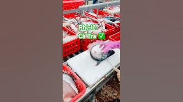 ✅ Tay nghề Phi-lê Cá Tra điêu luyện của công nhân Miền Tây #cuocsongcongnhan #philecatra ​⁠#fillet