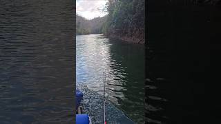 BARRAGEM DE BURITINOPOLIS GOIÁS LINDO DEMAIS #lago #music