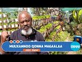 MUUXANNOO QONNA MAGAALAA 