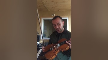 Roland E A 7 sampling  super violin