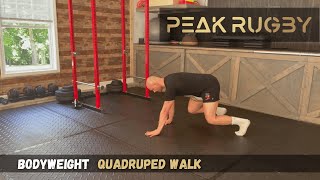 How to Do Quadruped Walk | Core Stability & Full-Body Control Exercise