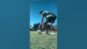 @tyler.vitelli here it is😭, #tiktokeffects