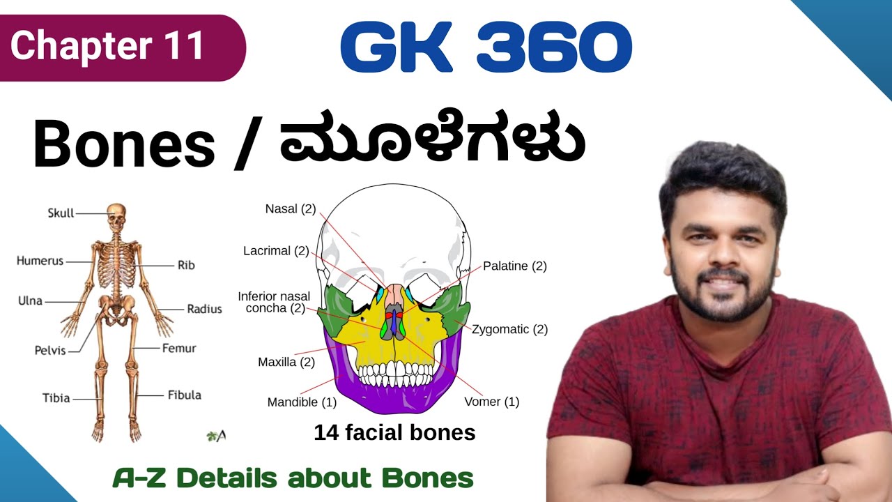 GK 360 - Chapter 11 | Human Bones | KPSC PDO - Group C - PSI | RG Classes