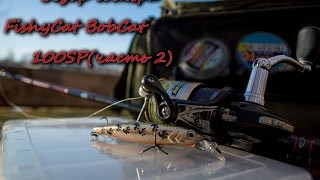 Обзор воблера FishyCat BobCat 100 SP (часть 2)