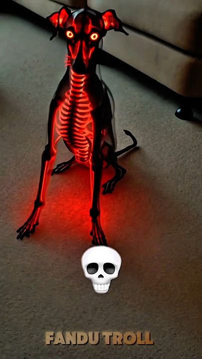 Download lagu Dog's are always cute ☠️