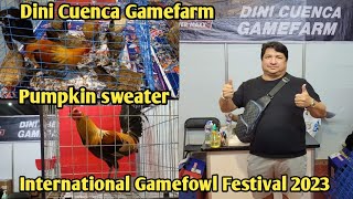 DINI CUENCA GAMEFARM | IGF 2023 | HOME OF PUMPKIN SWEATER | PUMPKIN HATCH