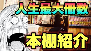 【本棚紹介】3000冊超！！引っ越し前最後の本棚紹介【漫画紹介】